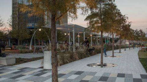 Park at Sunset Featuring Stainless Steel Tree Grating