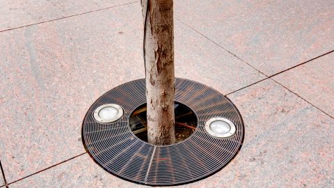 Decorative Tree Grate Installed with Lights