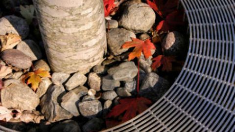 Tree Grating for College Campuses