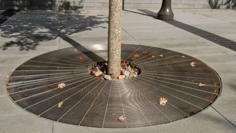 Tree Grating Close Up at Duke University