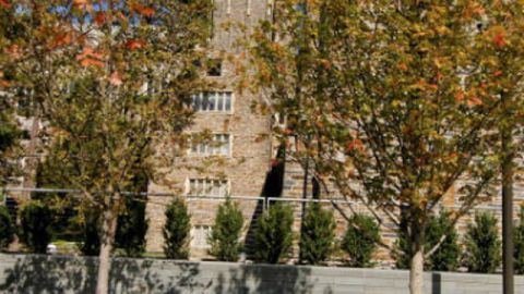 Trees at Duke University