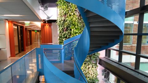 Blue Perforated Metal Staircase at Microsoft Headquarters