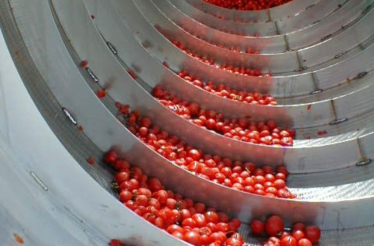 An internally fed screen used to process tomatoes