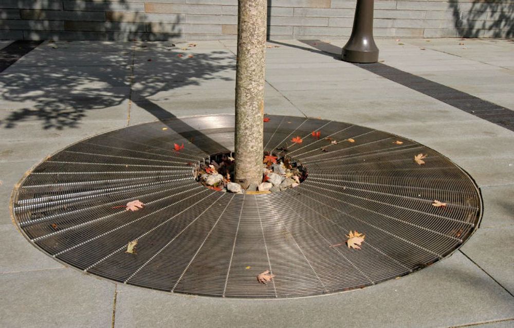 tree_grating_-_duke_univ_0.jpg